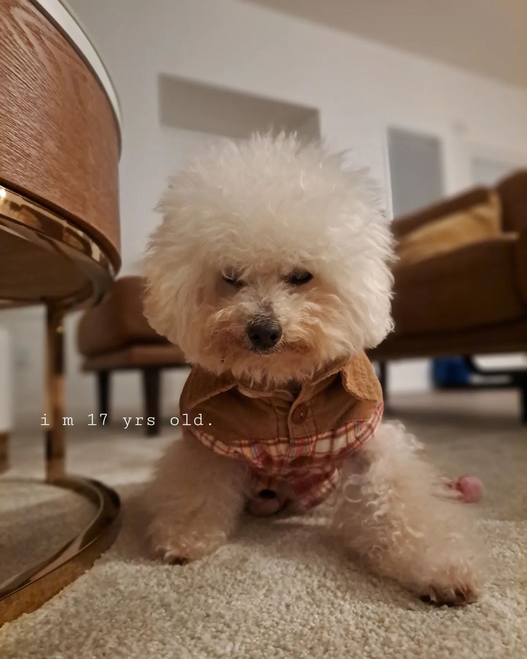 家中空間寬敞。